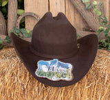 Brown felt 100X Western La Sierra COWBOY TEXANA HAT Tejana